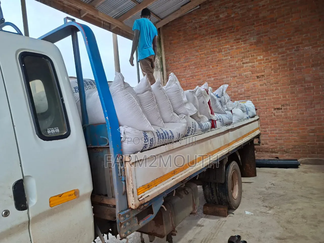 Poultry Feed All Kinds