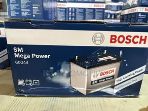 19 Plate Bosch 100ah