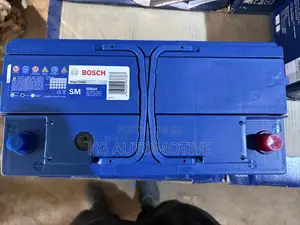 19 Plate Bosch 100ah