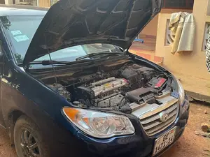 Hyundai Elantra 2010 Blue