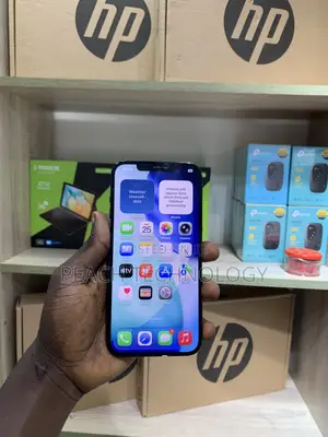 Apple iPhone 12 Pro Max 256 GB Blue