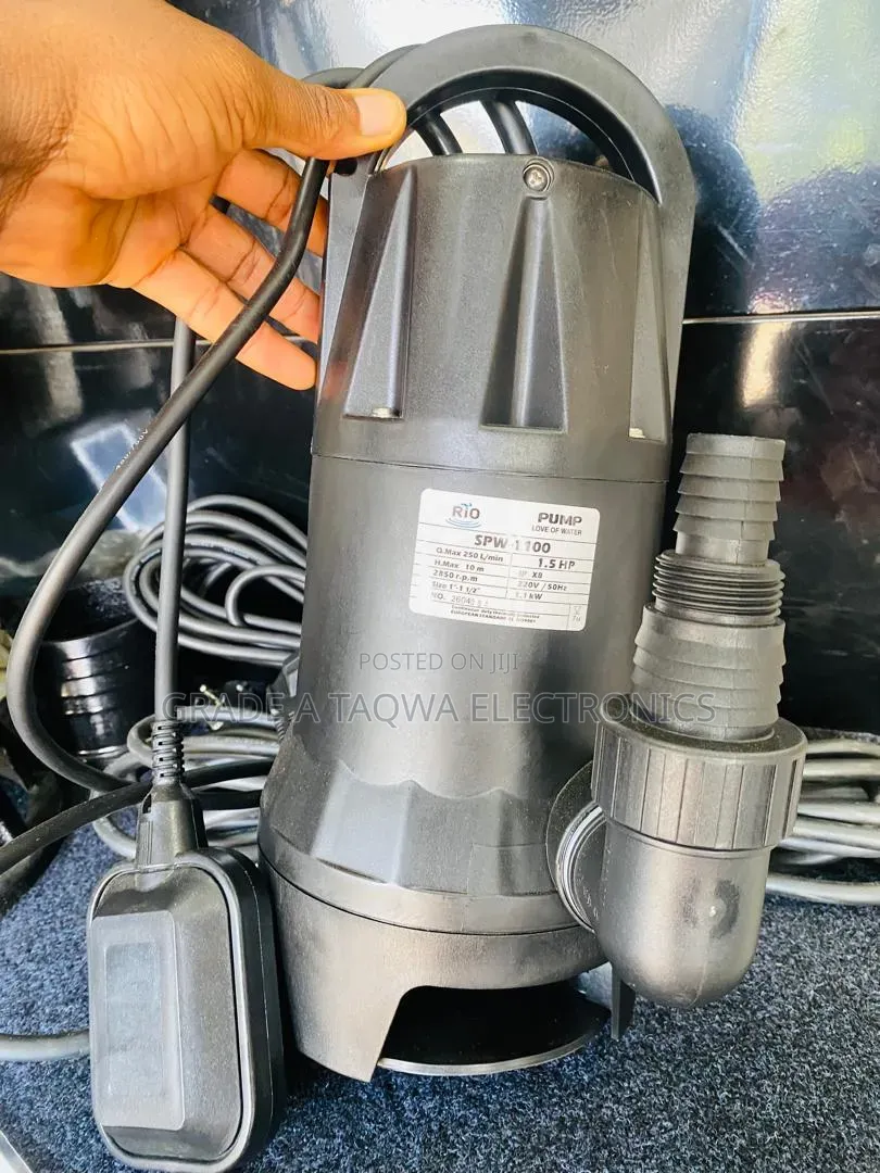 Continuous Submersion in Water, Rio 1.5Hp Garden Submersible Pump