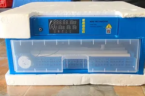Incubator (70egg Capacity Automatic Incubator)