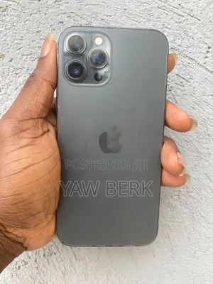 Apple iPhone 12 Pro Max 256 GB Gray
