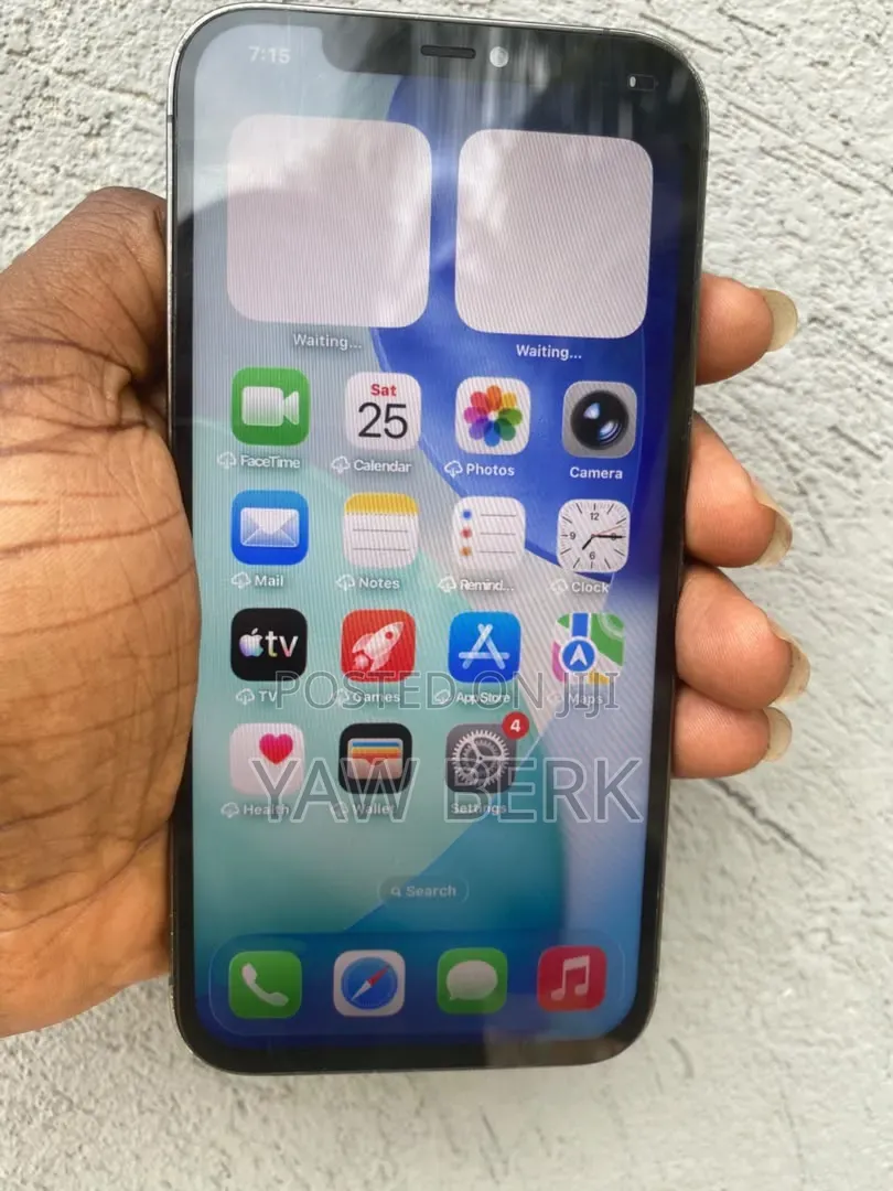 Apple iPhone 12 Pro Max 256 GB Gray