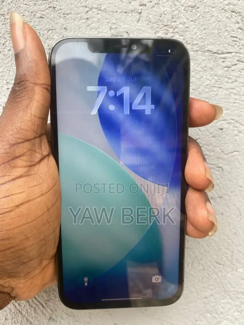 Apple iPhone 12 Pro Max 256 GB Gray