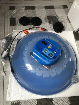 Small Eggs Incubator