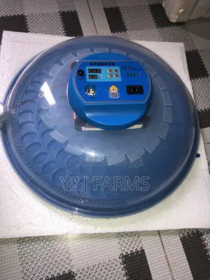 Small Eggs Incubator