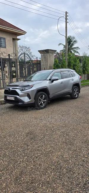 Toyota RAV4 LE AWD 2019 Silver