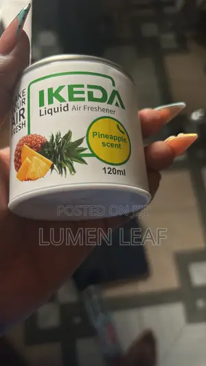 Ikeda Air Freshener