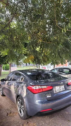 Kia Forte EX Sedan 2016 Gray