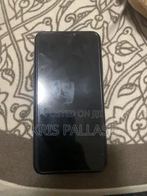 Apple iPhone 11 Pro Max 256 GB Gray