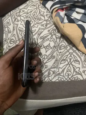 Apple iPhone 11 Pro Max 256 GB Gray