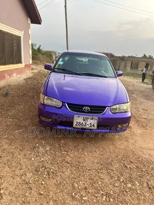 Toyota Corolla 2007 Purple