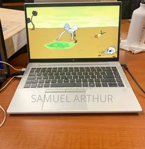 Laptop HP EliteBook 745 G6 32GB AMD Ryzen 5 SSD 512GB