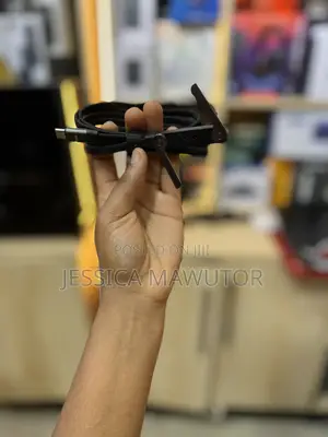 Stand/Charger