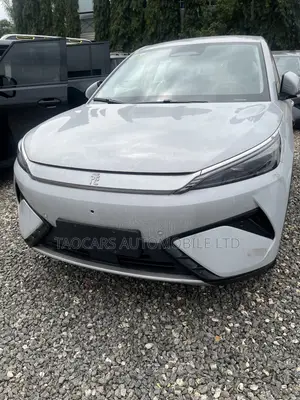 New BYD Yuan Plus 2025 Gray