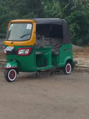 TVS King Deluxe Plus iTouch Start 2025 Green