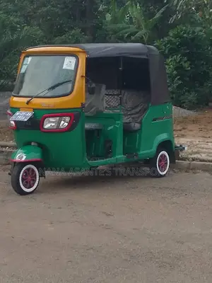 TVS King Deluxe Plus iTouch Start 2025 Green