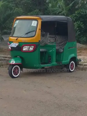 TVS King Deluxe Plus iTouch Start 2025 Green