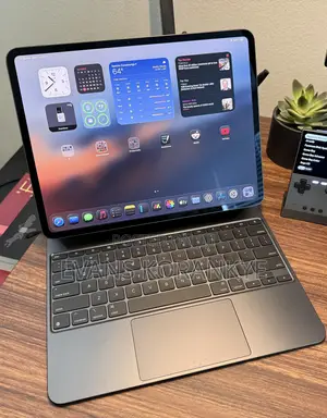 Apple iPad Pro 11 (2024) 256 GB Black