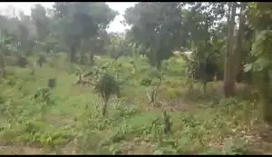 Amanano Lands