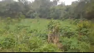Amanano Lands