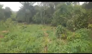 Amanano Lands