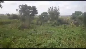 Amanano Lands