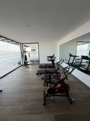 Furnished 2bdrm Apartment in East Airport, Tseaddo for rent