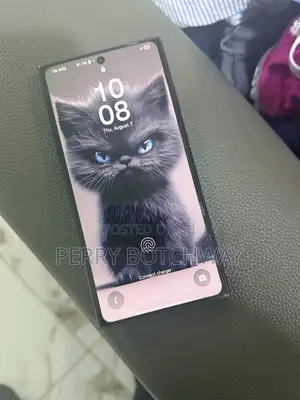 Samsung Galaxy S24 Ultra 256 GB Gray