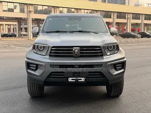 Car 2024 Gray