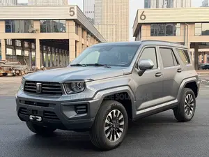 Car 2024 Gray