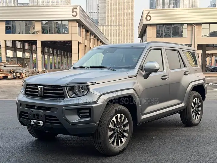 Car 2024 Gray