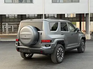 Car 2024 Gray