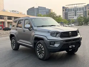 Car 2024 Gray
