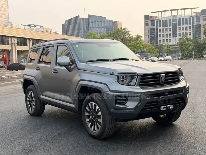 Car 2024 Gray