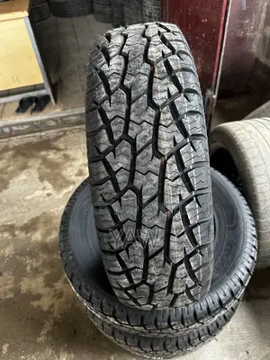 Wheelhouse Warehouse: Your Affordable Tire Solution.