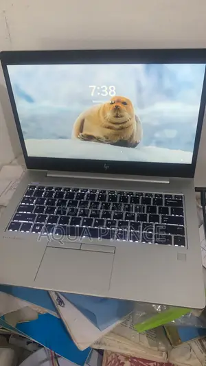 Laptop HP EliteBook 840 G6 8GB AMD Ryzen 5 SSD 256GB