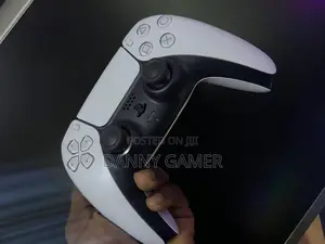 Playstation 5 Controllers