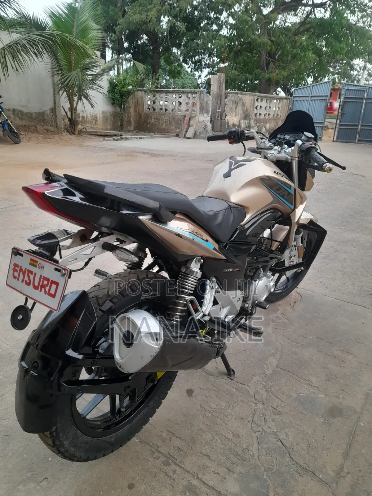 Apsonic 170 Zone One 2023 Gold