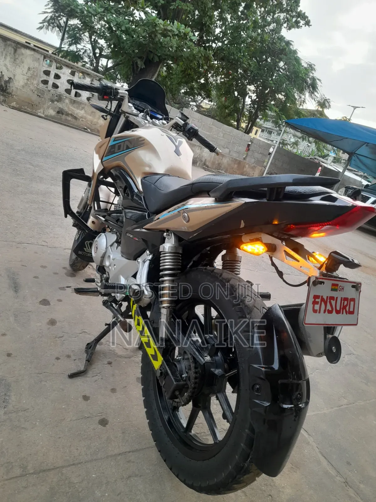 Apsonic 170 Zone One 2023 Gold