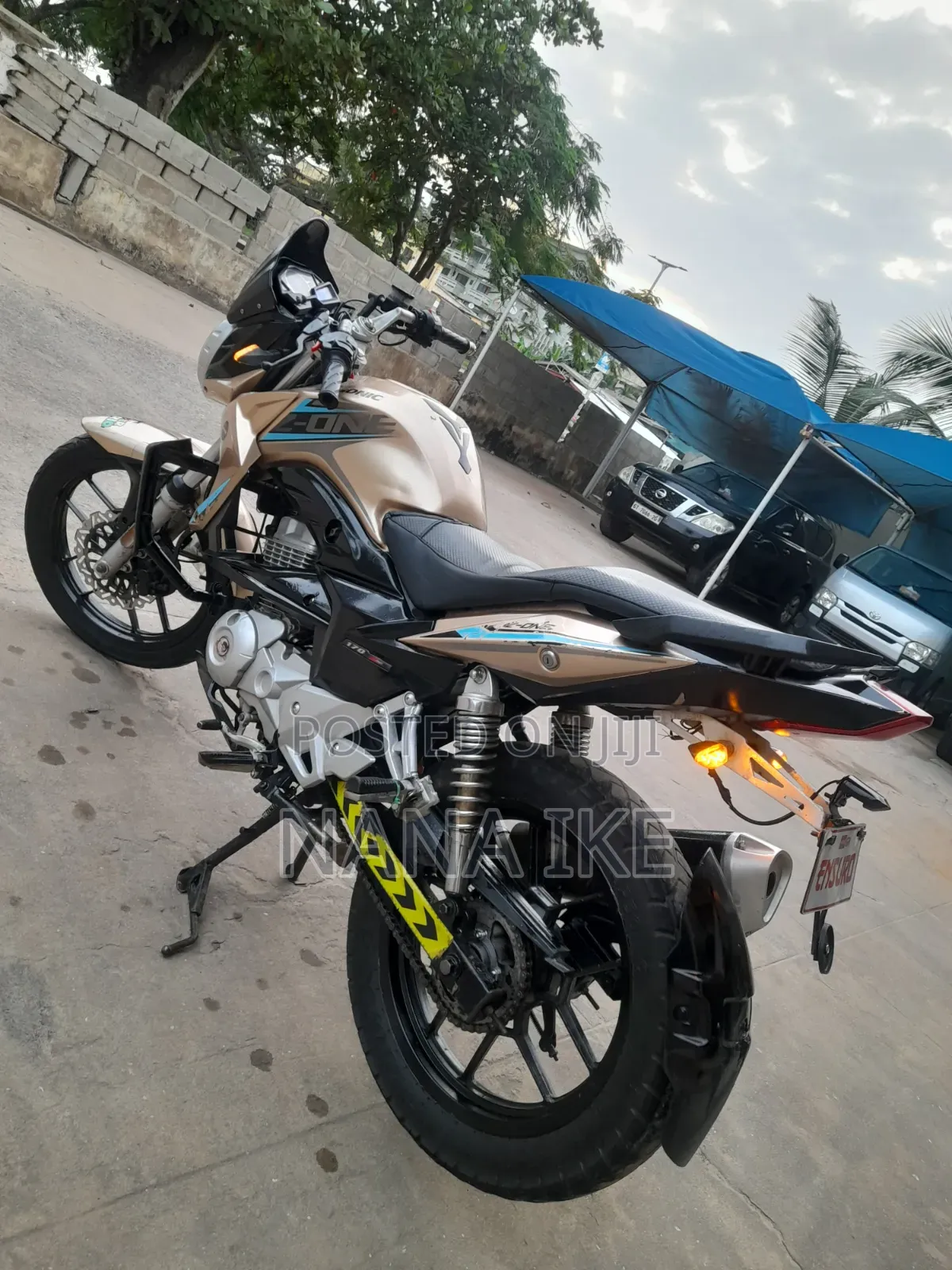 Apsonic 170 Zone One 2023 Gold