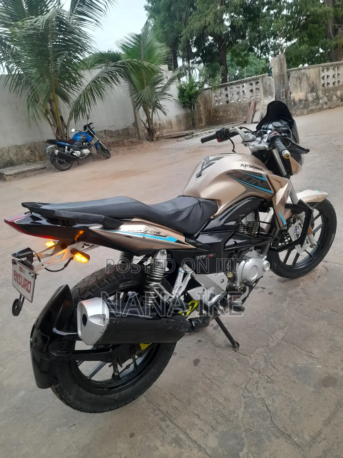 Apsonic 170 Zone One 2023 Gold