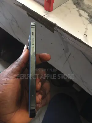 Apple iPhone 12 Pro 256 GB Blue