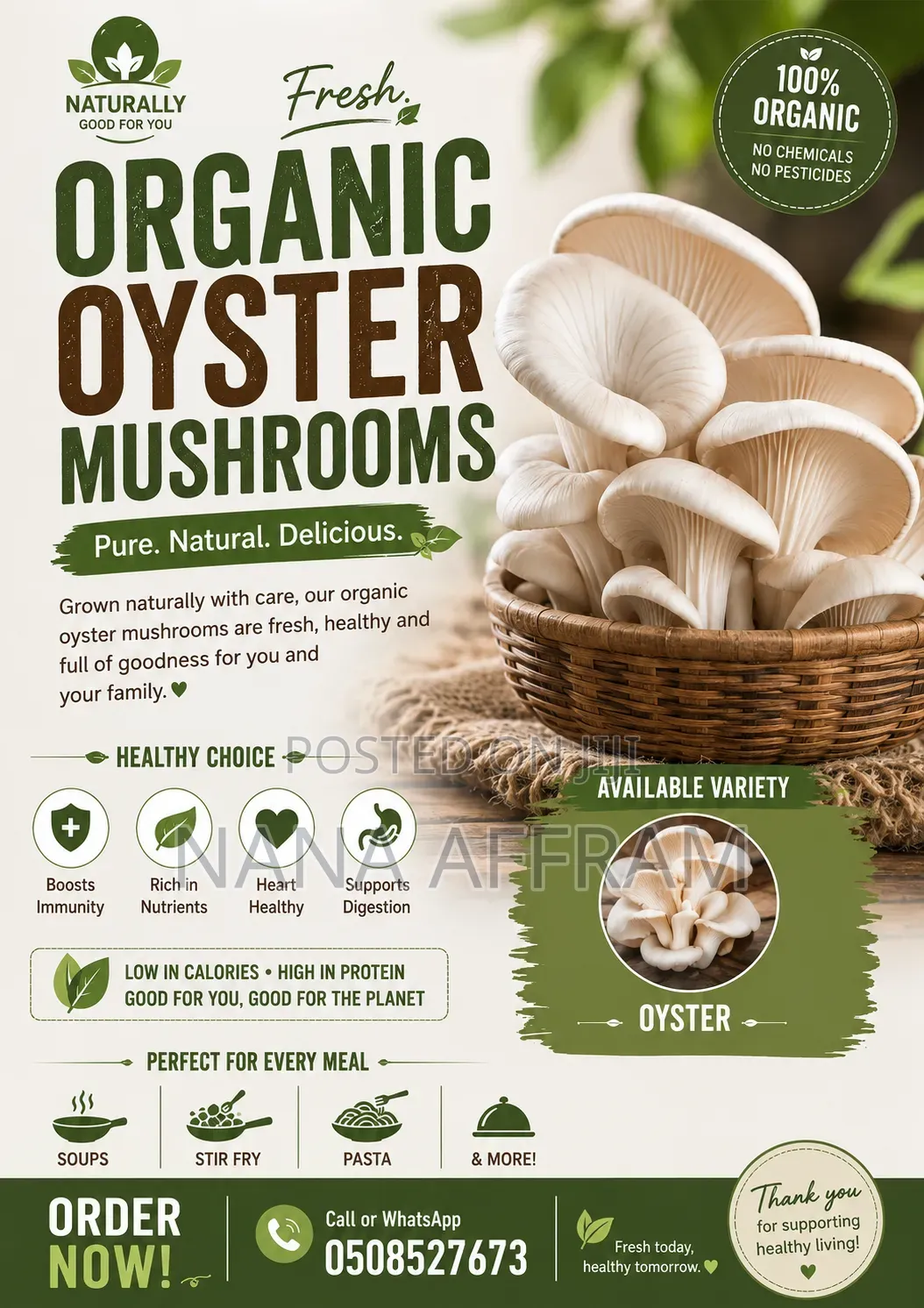 Organic Mushroom