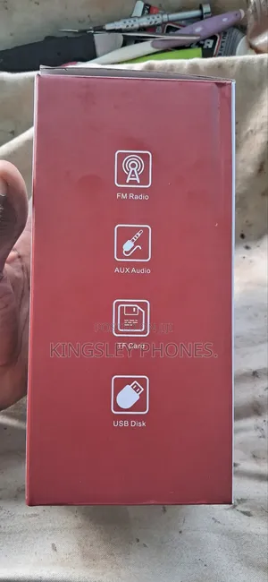 Wireless Portable Audio