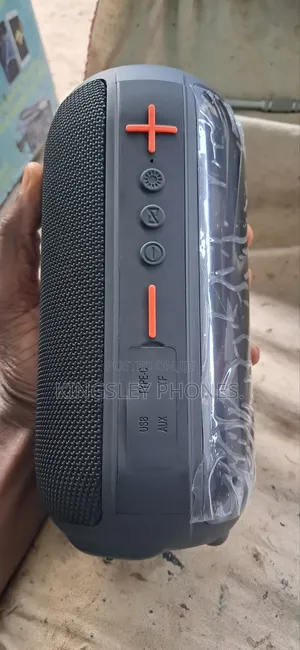 Wireless Portable Audio