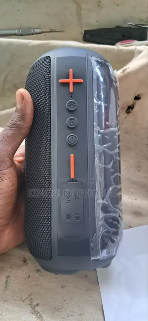 Wireless Portable Audio
