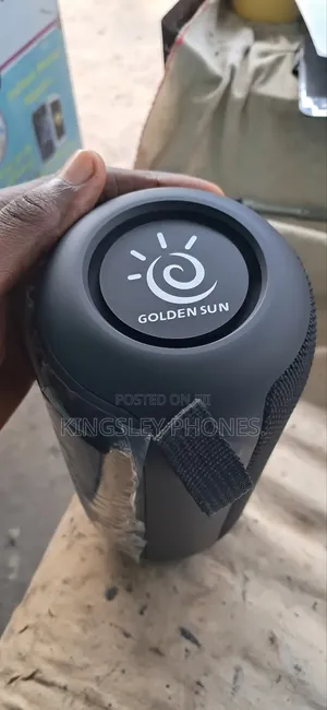 Wireless Portable Audio